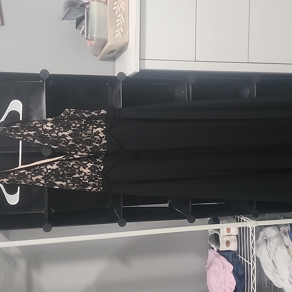 Ever Pretty Black and Cream Backless Dress